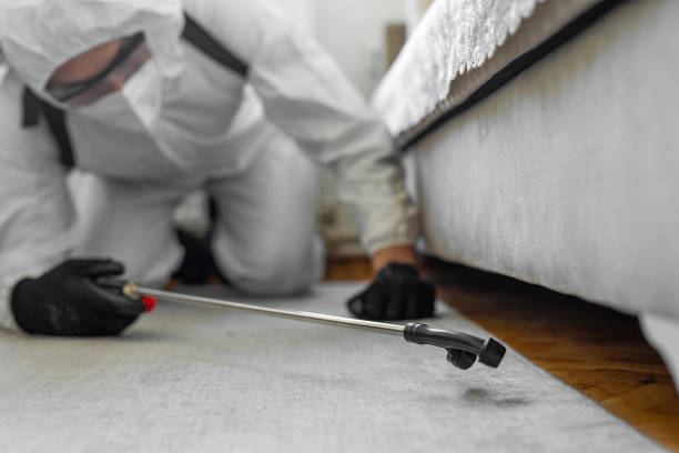 Professional Termite Control technician working in Enterprise, UT
