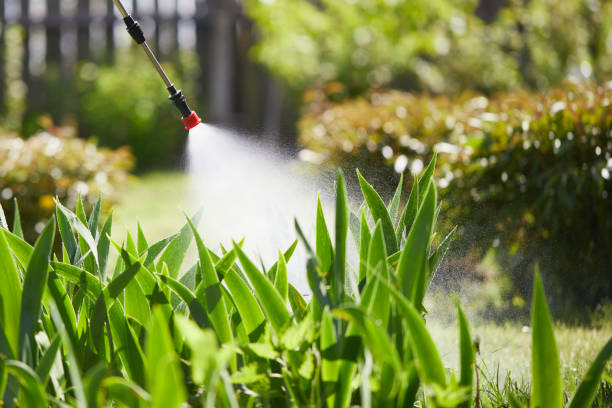 24/7 Emergency Termite Control experts in Enterprise, UT