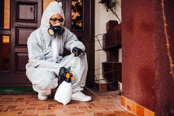 Reliable Termite Control contractor in Enterprise, UT by Nex Pest Control