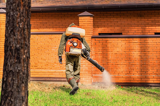 Top rated local Termite Control specialists in Enterprise, UT